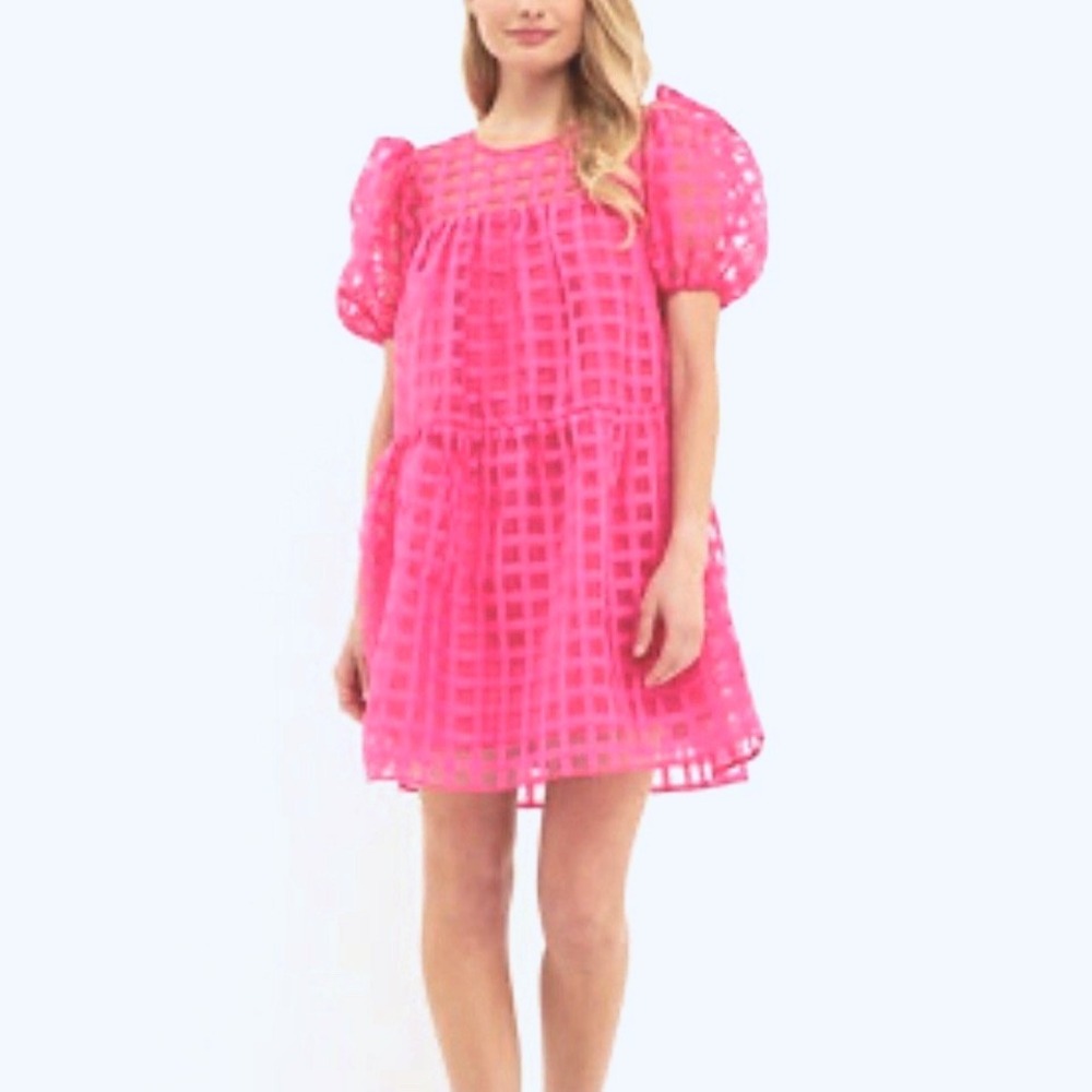 English Factory Pink Organza Puff Sleeve Mini Dress Tiered Grid Babydoll Medium